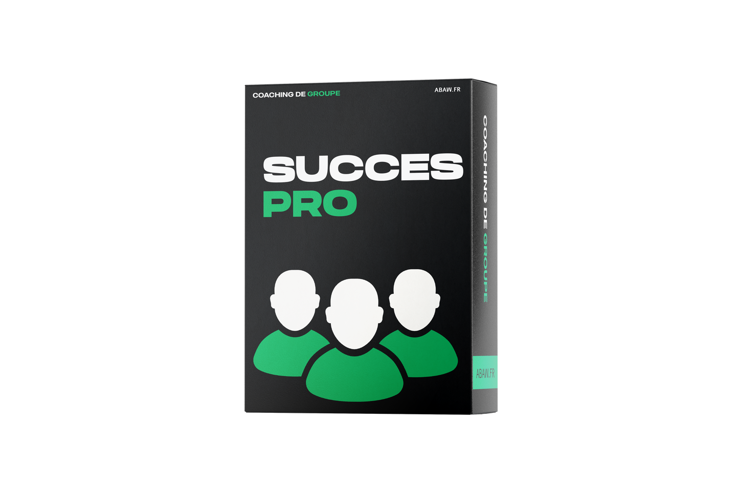 Succès Professionnel (GROUPE)