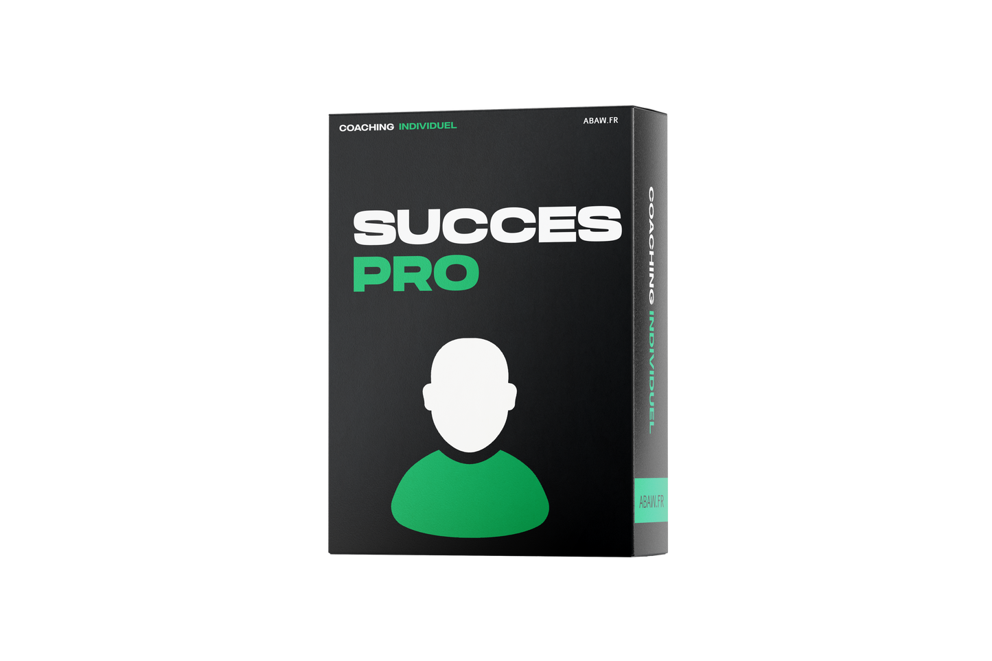Succès Professionnel (INDIVIDUEL)