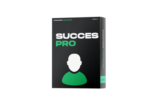 Succès Professionnel (INDIVIDUEL)